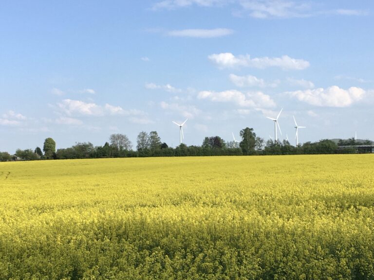 Wie kann Springe von neuer Energie profitieren?