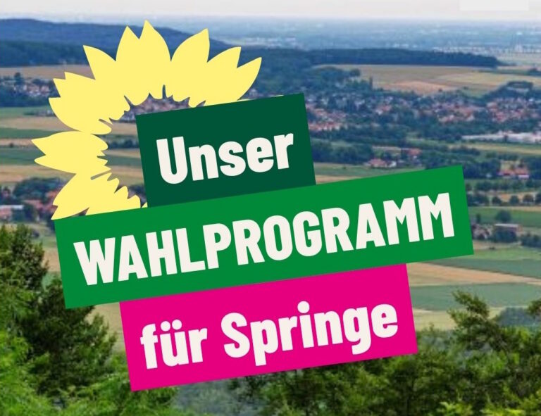 Unser Wahlprogramm für Springe